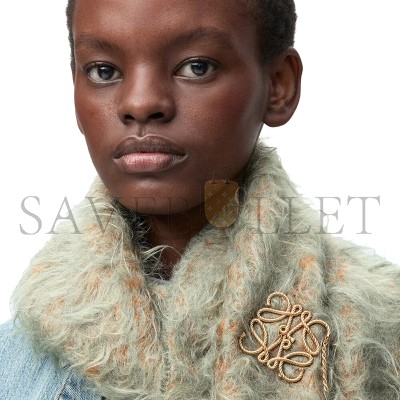 LOEWE ANAGRAM BROOCH J821245X20